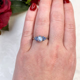 Platinum 1.13 Carat Genuine Natural Moonstone and Blue Sapphire Ring (#J7170)