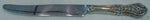 Springtime by International Sterling Silver Regular Knife French 8 1/2"