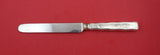 Lap Over Edge Acid Etched by Tiffany & Co Sterling Dinner Knife tomatoes 10 1/2"