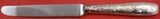 Audubon by Tiffany and Co Sterling Silver Dessert Knife 7 3/8" Multi-Motif