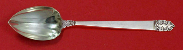 Northern Lights by International Sterling Silver Grapefruit Spoon Fluted Custom