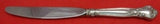 Chantilly by Gorham Sterling Silver Place Size Knife Modern 9 1/4" Flatware