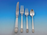 Northern Lights by International Sterling Silver Flatware Set Service 30 pieces