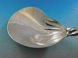 Blackberry by Tiffany and Co Sterling Silver Berry Serving Spoon Conch 9 1/2"