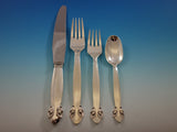 Bittersweet by Georg Jensen Sterling Silver Dinner Size Place Setting(s) 4-Piece