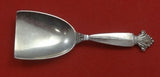Acanthus by Georg Jensen Sterling Silver Sugar Shovel Shape 4 1/4"