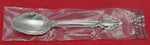 Lasting Grace by Lunt Sterling Silver Teaspoon 6 1/4" New