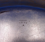 Lily Pad by Whiting Sterling Silver Serving Plate/Seafood Platter #6793 (#6970)