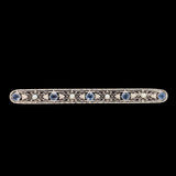 14k White Gold Filigree Pin with GIA Montana Sapphires and Seed Pearls (#J6596)