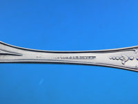 Dew Drop by Shiebler Sterling Silver Sugar Sifter Swirl Bowl 7 3/8" Unusual Rare