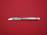 Bittersweet by Georg Jensen Sterling Silver Regular Knife Long Handle 8 1/8"