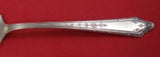 Virginia Lee by Towle Sterling Silver Coffee Spoon 5 1/4"