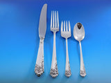 Ecstasy by Amston Sterling Silver Flatware Set for 12 Service 137 pc Dinner Size