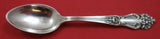 Amaryllis by Reed and Barton Sterling Silver Demitasse Spoon 4 1/8" Heirloom