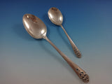 Queens Lace by International Sterling Silver Flatware Set 12 Service 51 Pieces