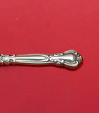 Chantilly by Gorham Sterling Silver Cheese Grater Curved HH WS Custom