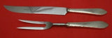 Feather Edge by Tiffany and Co Sterling Silver Roast Carving Set 2pc HH WS
