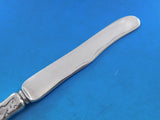 Lap Over Edge Acid Etched by Tiffany Sterling Dessert Knife HHAS Snail Seaweed