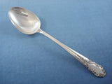 Bridal Veil by International Sterling Silver Flatware Set for 8 Service 35 pcs