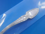 Broom Corn by Tiffany & Co. Sterling Silver Mustard Ladle 4 1/2" Custom Made