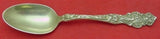 Irian by Wallace Sterling Silver Teaspoon  5 3/4"