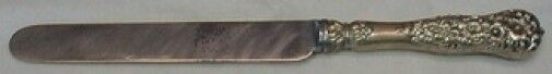 Rococo by Dominick & Haff Sterling Silver Dinner Knife Blunt 9 7/8"