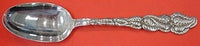 Ailanthus by Tiffany and Co Sterling Silver Serving Spoon 8 3/4"
