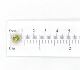 14k Yellow Gold 3.90 Carat TW Genuine Natural Peridot Stud Earrings (#J7023)