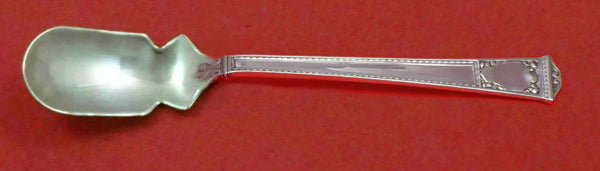 San Lorenzo by Tiffany and Co Sterling Silver Horseradish Scoop Custom 5 3/4"