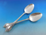Stanton Hall by Oneida Sterling Silver Flatware Set for 8 Service 35 pcs Dinner