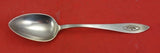 Buckingham Narrow by Shreve Sterling Place Soup Spoon  "C"  7 1/4"
