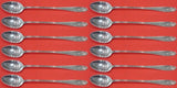 Wedgwood by International Sterling Silver Iced Tea Spoon Set 12 pieces 7 1/2"