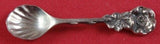 Harlequin by Reed and Barton Sterling Silver Salt Spoon 2 1/2"