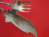 Duhme Sterling Silver Fish Serving Set GW Applied Fish Hammered Aesthetic