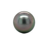 Fine Platinum Stud Earrings with 10.2mm Black Tahitian Pearls Jewelry (#J7120)