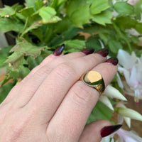 10k Yellow Gold Signet Ring Blank (Not Engraved) Size 6.5 Jewelry (#J6326)