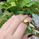 10k Yellow Gold Signet Ring Blank (Not Engraved) Size 6.5 Jewelry (#J6326)