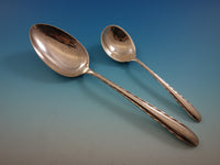 Silver Flutes by Towle Sterling Silver Flatware Service for 12 Set 107 Pieces