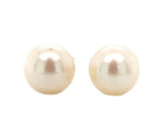 14k Yellow Gold 7.3mm Creamy White Cultured Pearl Stud Earrings (#J7055)