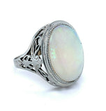 14k White Gold Filigree Large 4.70ct Genuine Natural Opal Ring (#J4988)