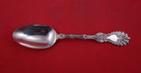 Radiant by Whiting Sterling Silver Dinner Spoon FH 8"