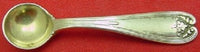 Colonial by Tiffany and Co Sterling Silver Salt Spoon Gold Washed 2 1/4"