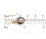 14k Yellow Gold 10mm Tahitian Black Pearl Dangle Earrings Jewelry (#J6119)