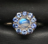 14k White Gold Genuine Natural Moonstone and Blue Sapphire Ring Size 7 (#J7617)