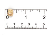 14k Yellow Gold Genuine Natural Ametrine Cushion Cut Stud Earrings (#J7291)