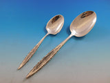 Floral Lace by Lunt Sterling Silver Flatware Set for 8 Service 41 pieces