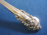 Grande Baroque by Wallace Sterling Silver Ice Scoop HHWS Custom Made 9 3/4"