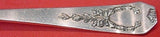 Madam Jumel by Whiting Sterling Silver Fried Egg Server Pierced 8 1/2"