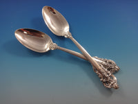 Grande Baroque by Wallace Sterling Silver Flatware For 18 Set 116 Pieces