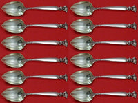 Romance of the Sea by Wallace Sterling Silver Grapefruit Sp Custom Set 12 pcs